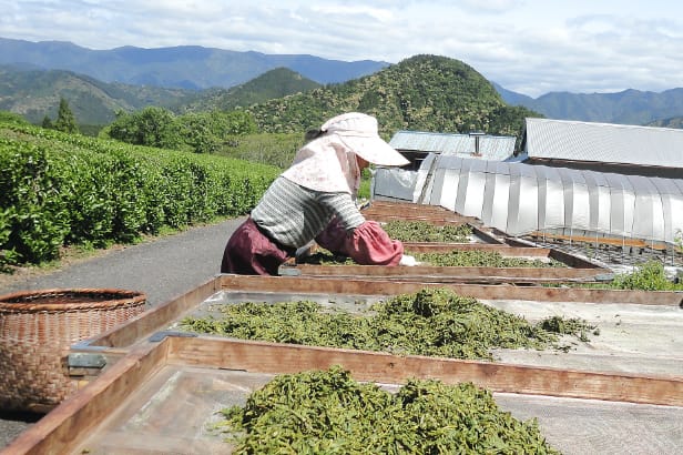 メイドイン熊野で